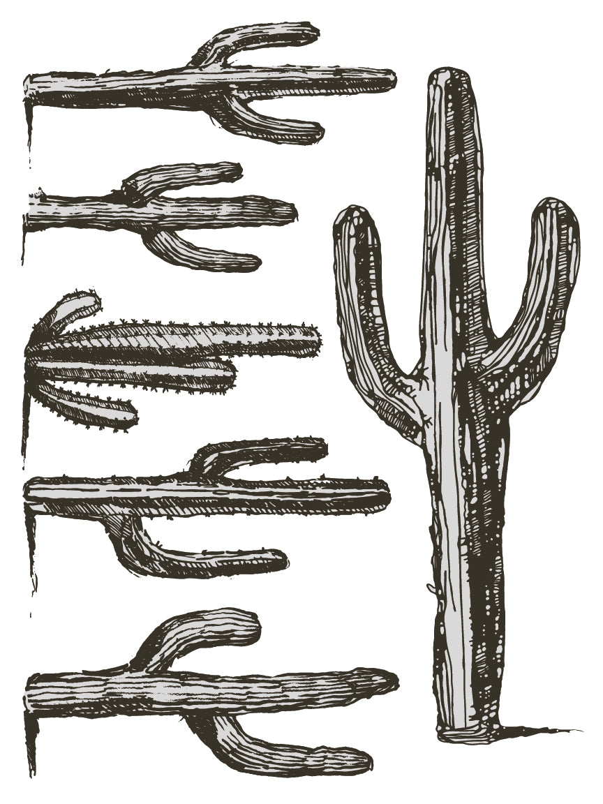 Desperado - IOD Decor Transfer