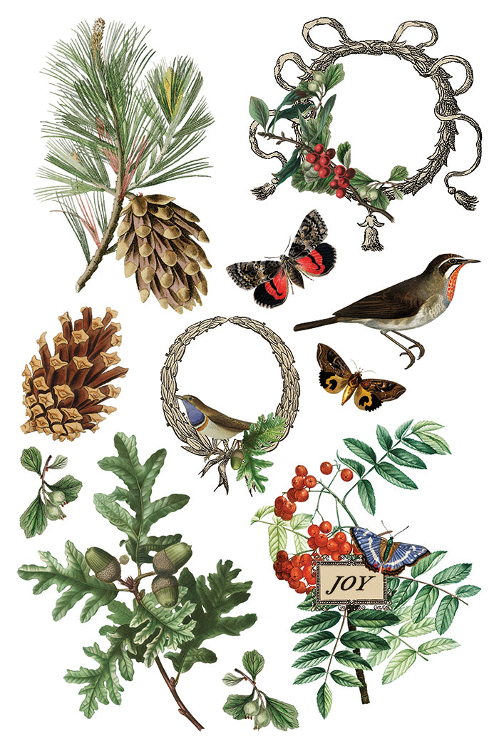Winter Botanist IOD Transfer - IOD Qtr 3 (Limited Edition Holiday)