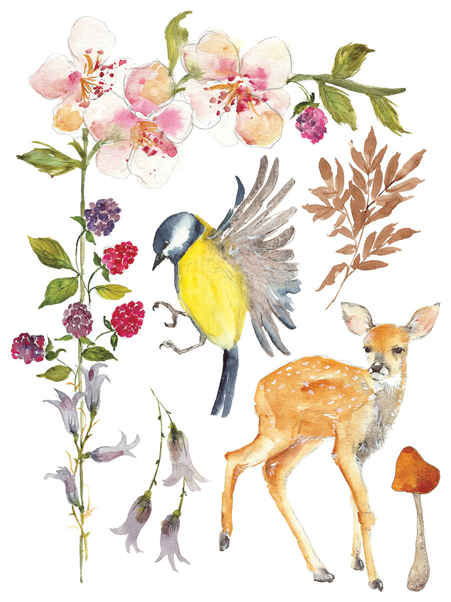 Whispering Willow -  IOD Decor Transfer