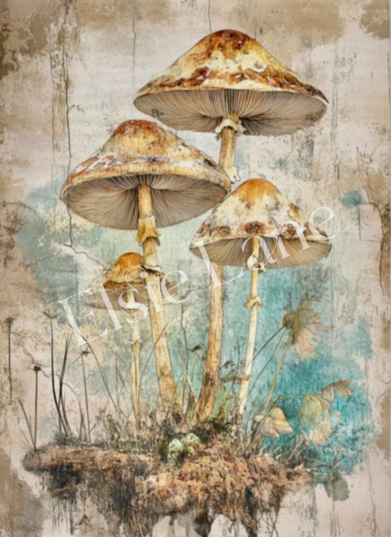 Cappuccino Caps - Elsie Lane Decoupage Paper