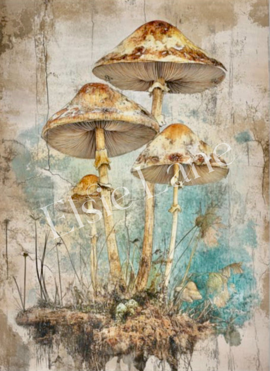 Cappuccino Caps - Elsie Lane Decoupage Paper