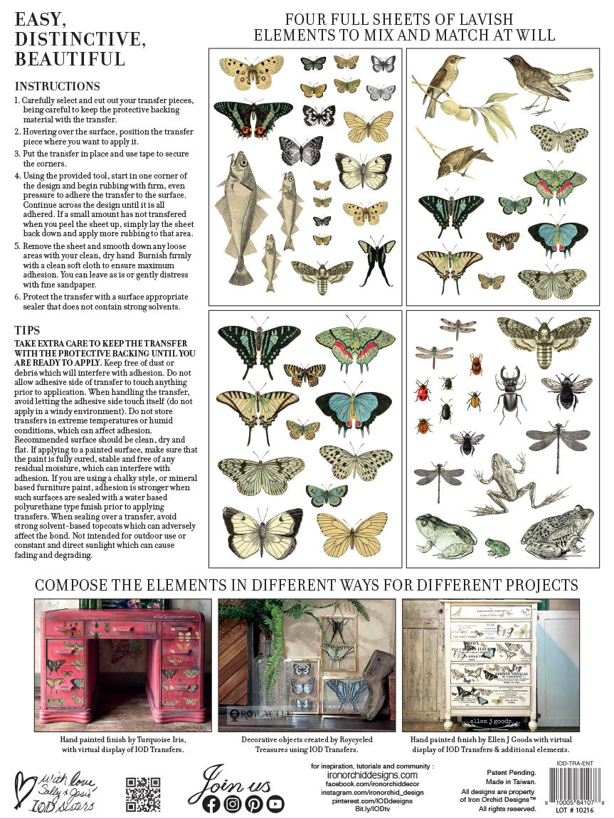 Entomology Etcetera- IOD Transfer