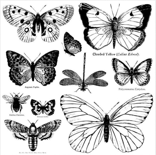 Butterflies Decor Stamp (12x12)