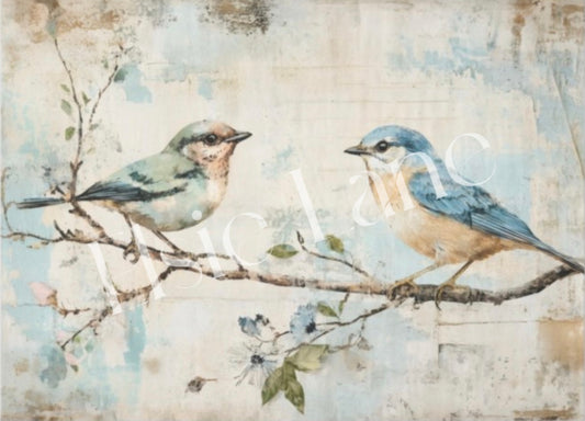 Songbird Duet - Elsie Lane Decoupage Paper