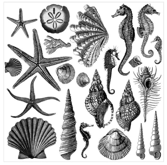 Seashore Stamps (set of 2)