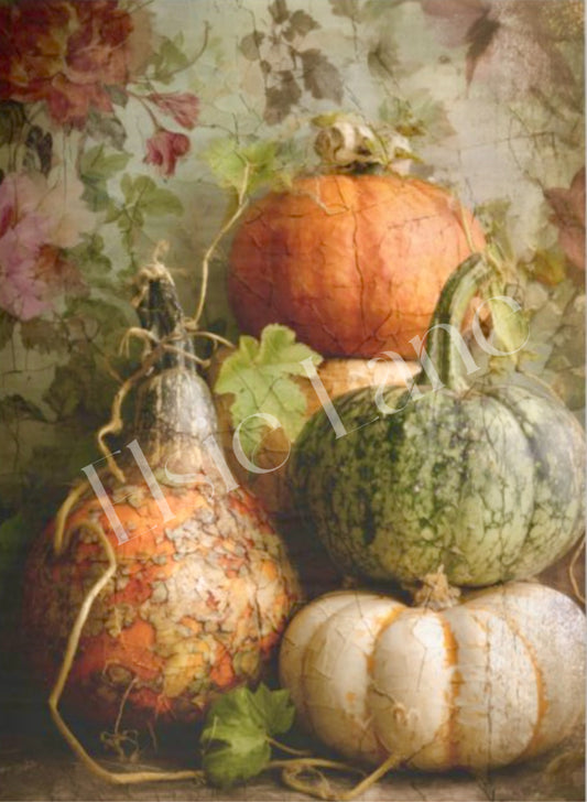 Gourdeous - Elsie Lane Decoupage Paper