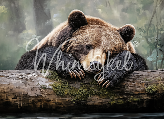 Tuckered Teddy - Whimsykel Paper