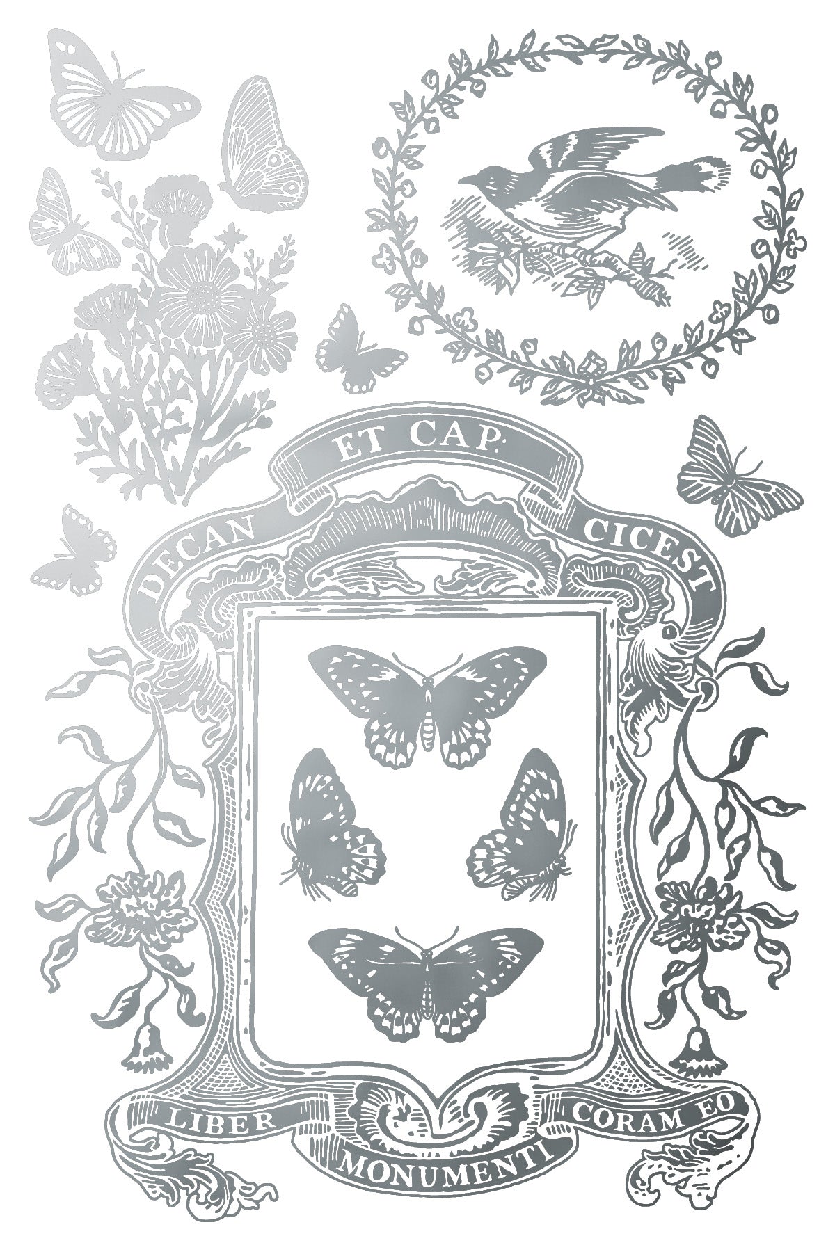 Papillon - IOD Decor Transfer