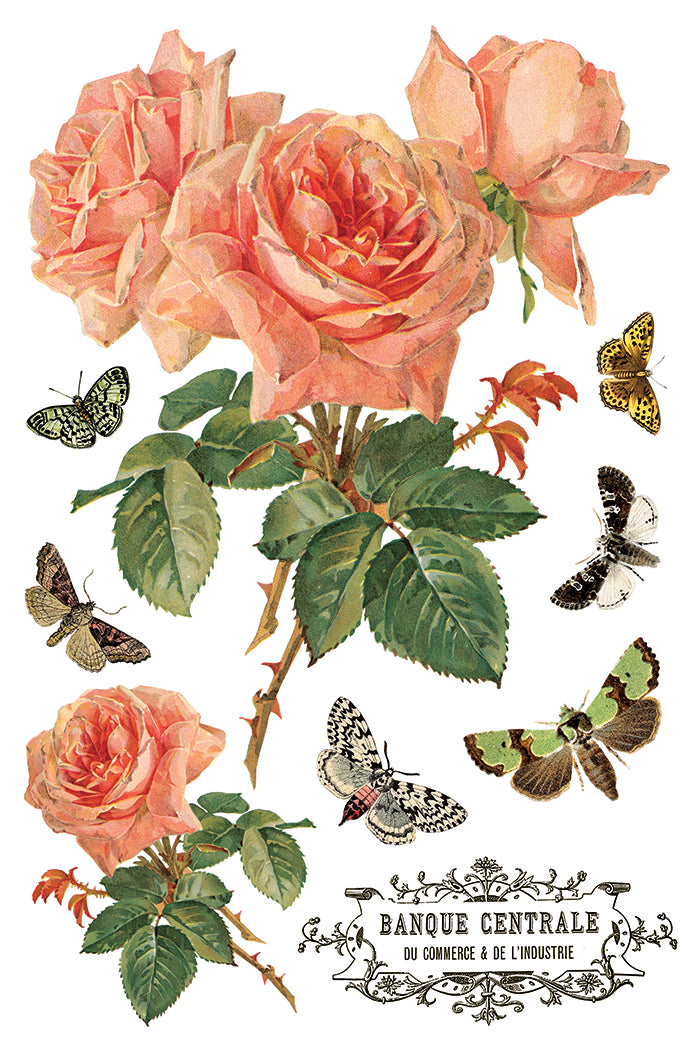 By Any Other Name - IOD Decor Transfer