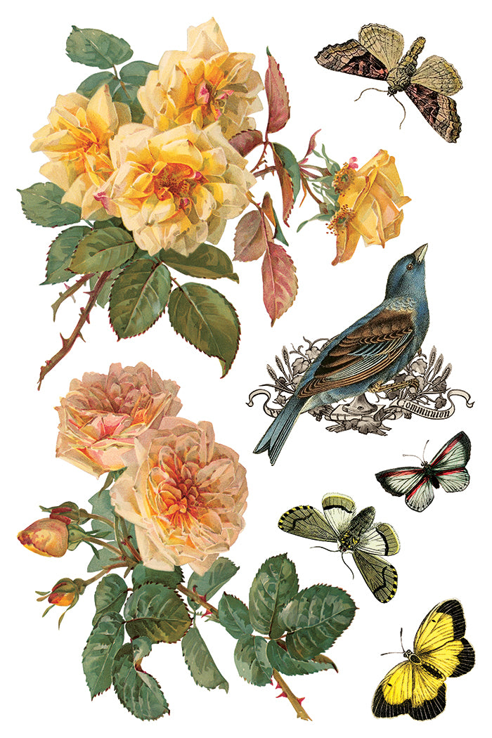 By Any Other Name - IOD Decor Transfer