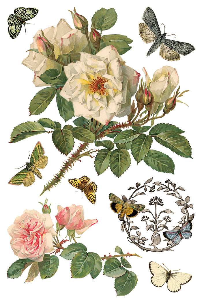 By Any Other Name - IOD Decor Transfer