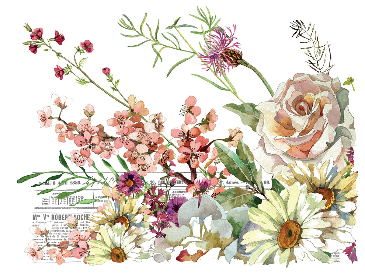 Elysium - IOD Decor Transfer