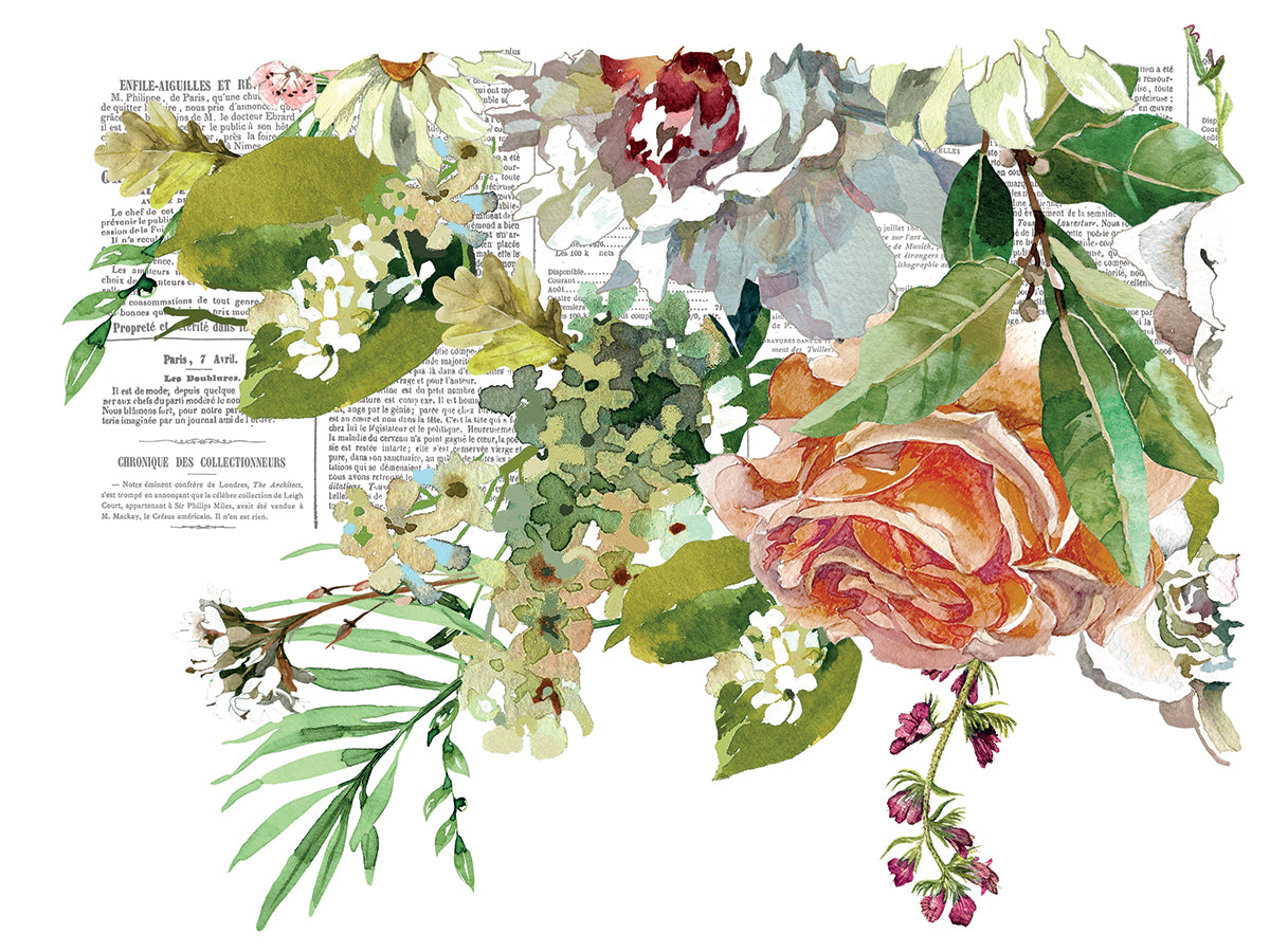 Elysium - IOD Decor Transfer
