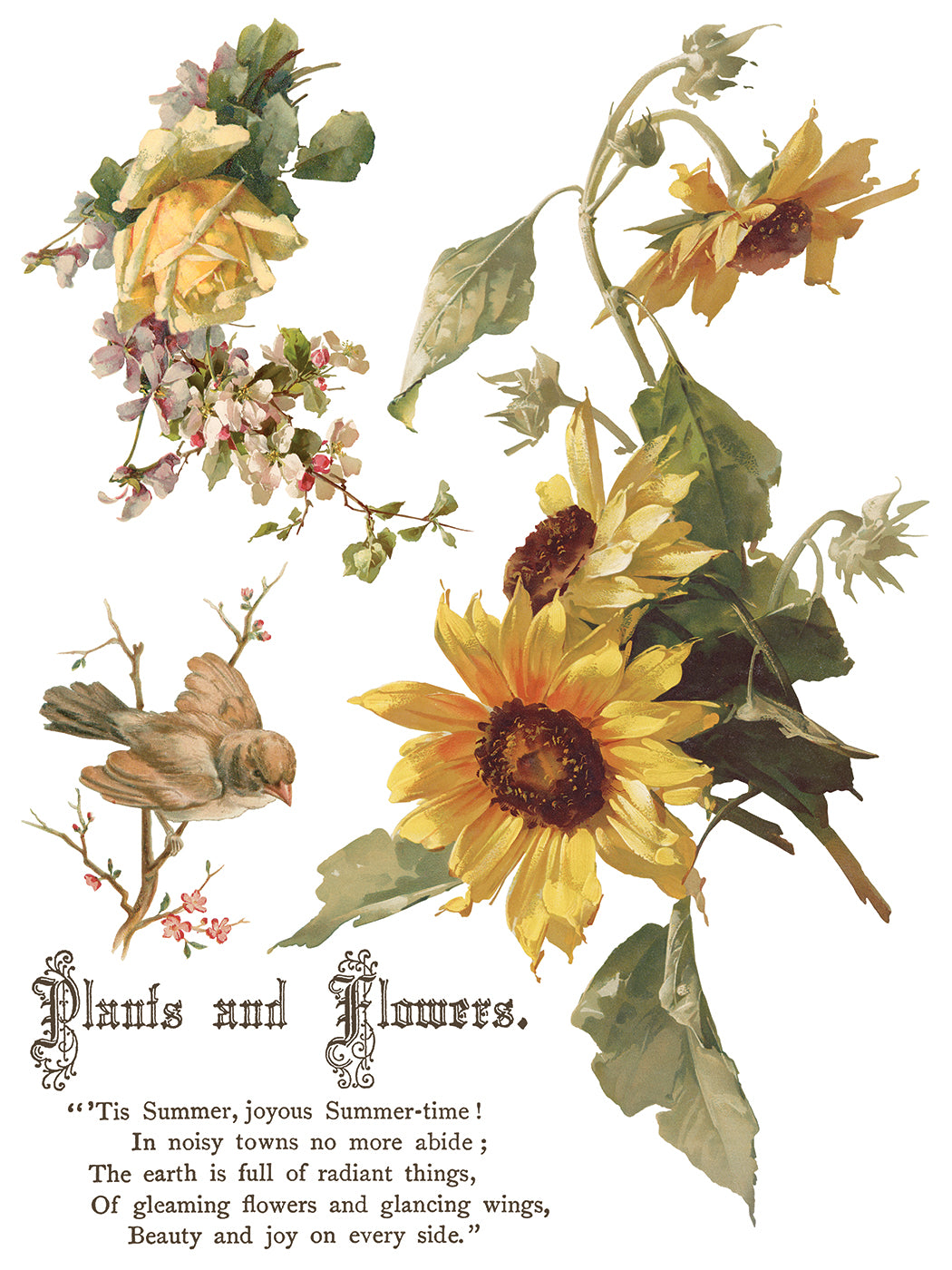 Flowers By The Poets -  IOD Decor Transfer (Summer 2026 Release)