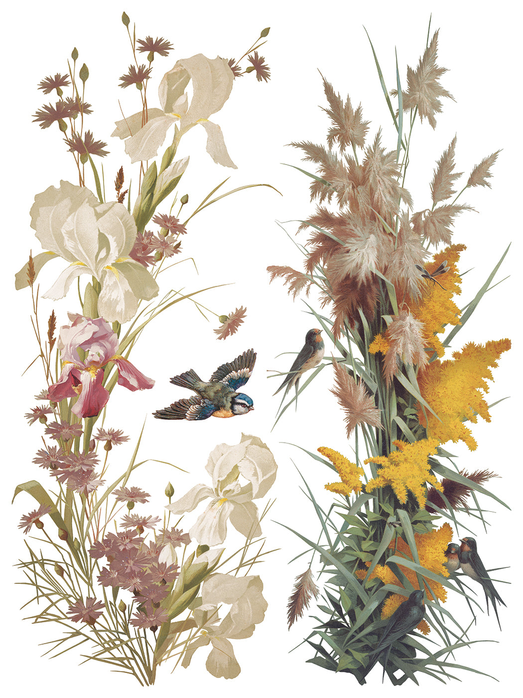 Flowers By The Poets -  IOD Decor Transfer (Summer 2026 Release)