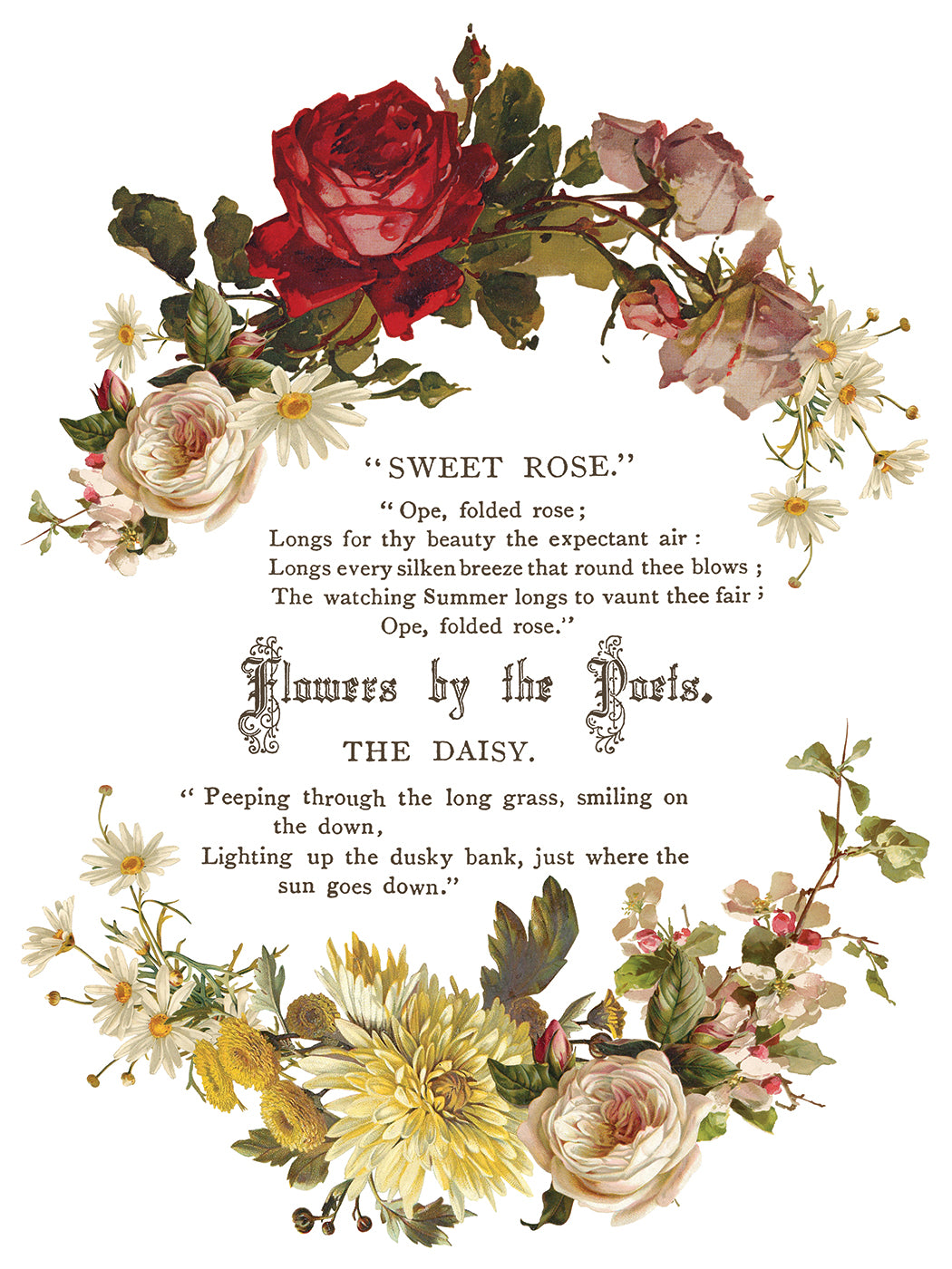 Flowers By The Poets -  IOD Decor Transfer (Summer 2026 Release)