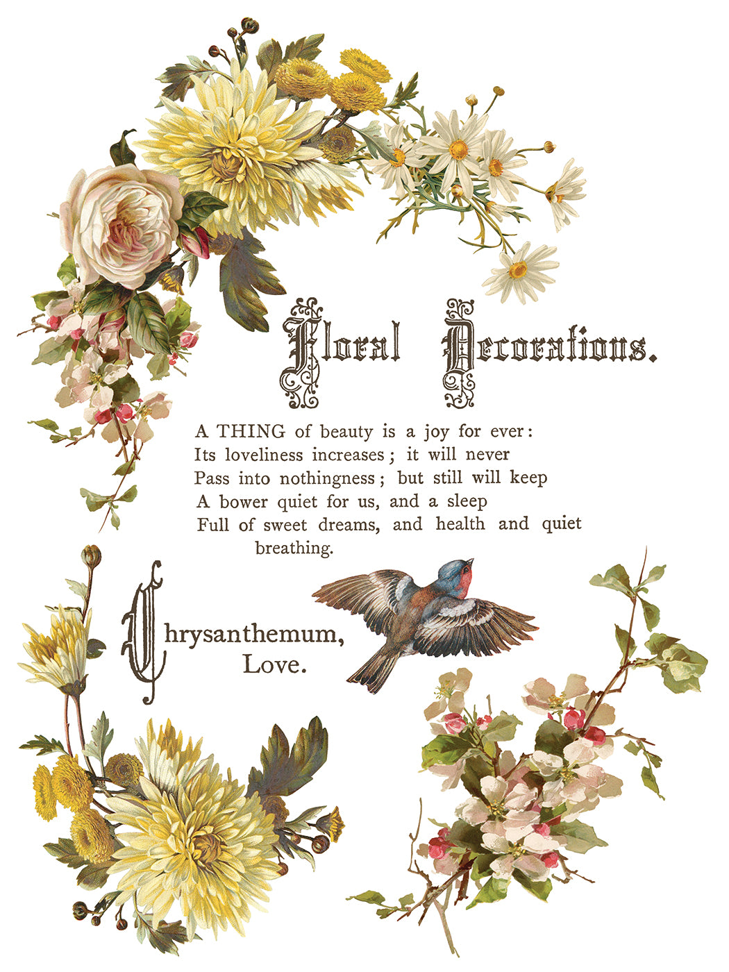 Flowers By The Poets -  IOD Decor Transfer (Summer 2026 Release)