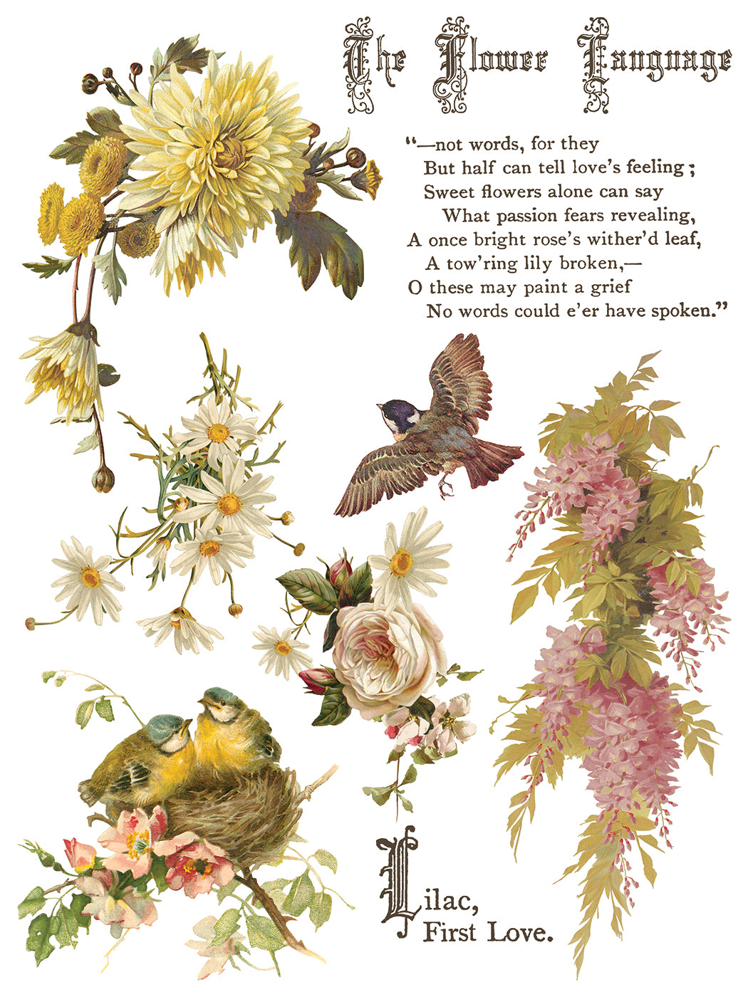 Flowers By The Poets -  IOD Decor Transfer (Summer 2026 Release)