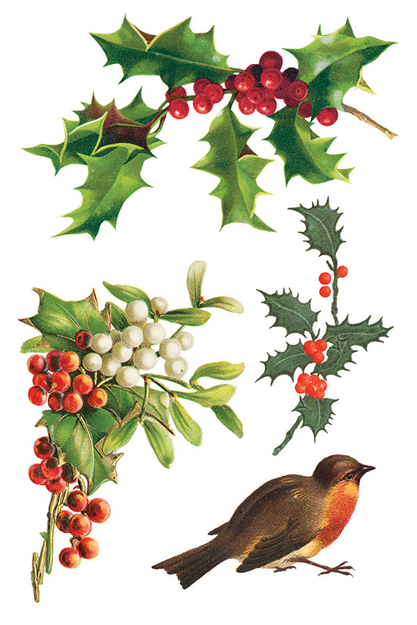 Figgy Pudding IOD Transfer