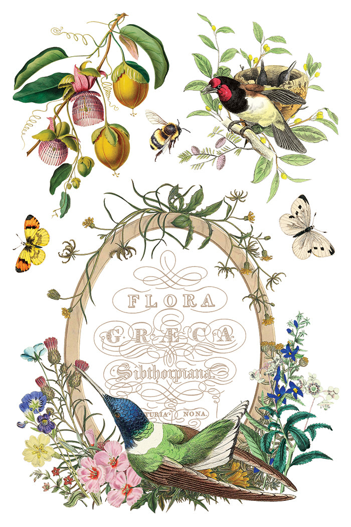 Flora Greca- IOD Decor Transfer