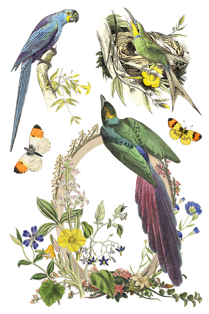 Flora Greca- IOD Decor Transfer