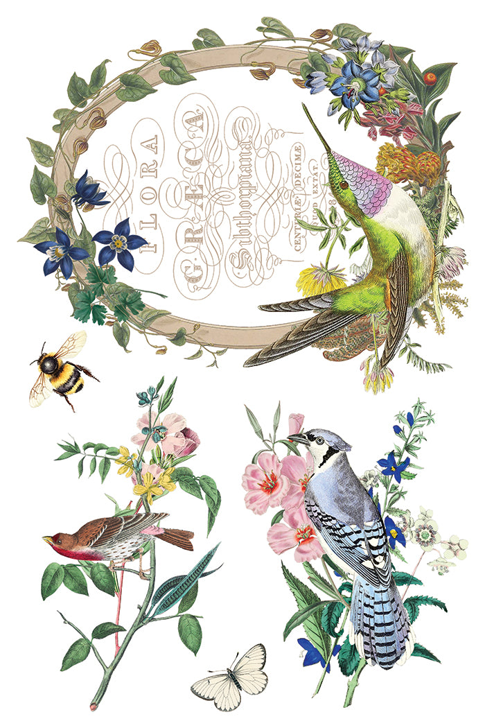 Flora Greca- IOD Decor Transfer