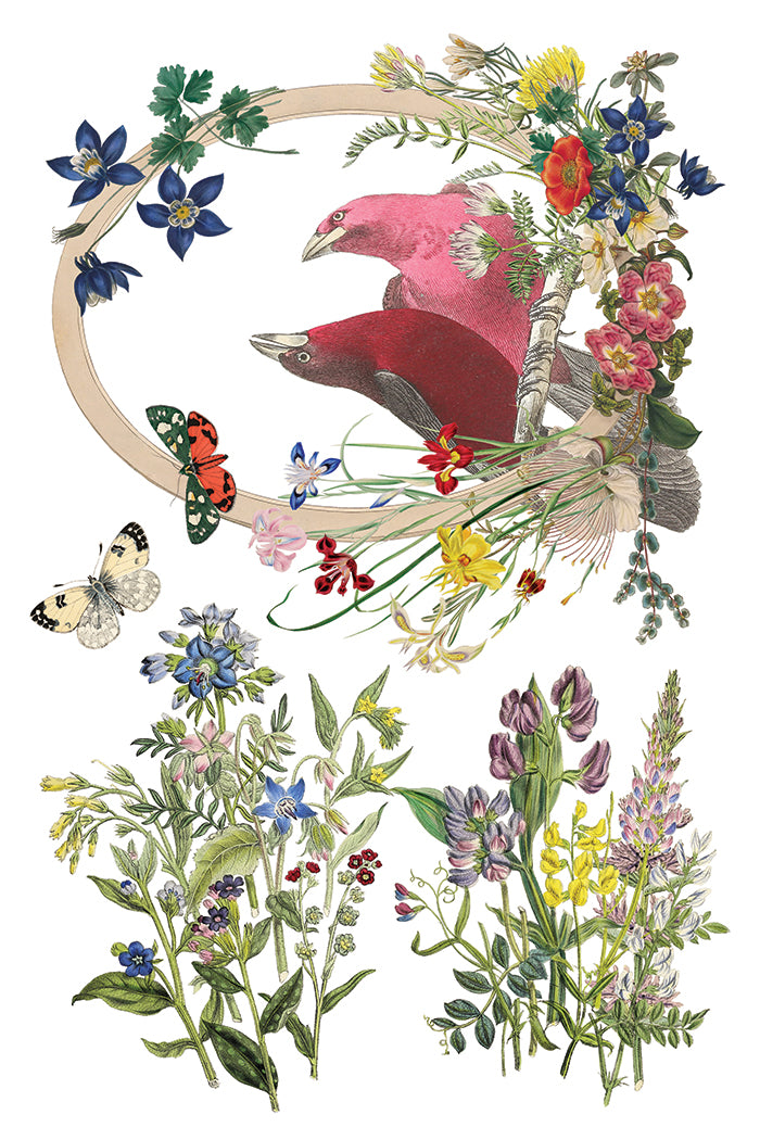 Flora Greca- IOD Decor Transfer