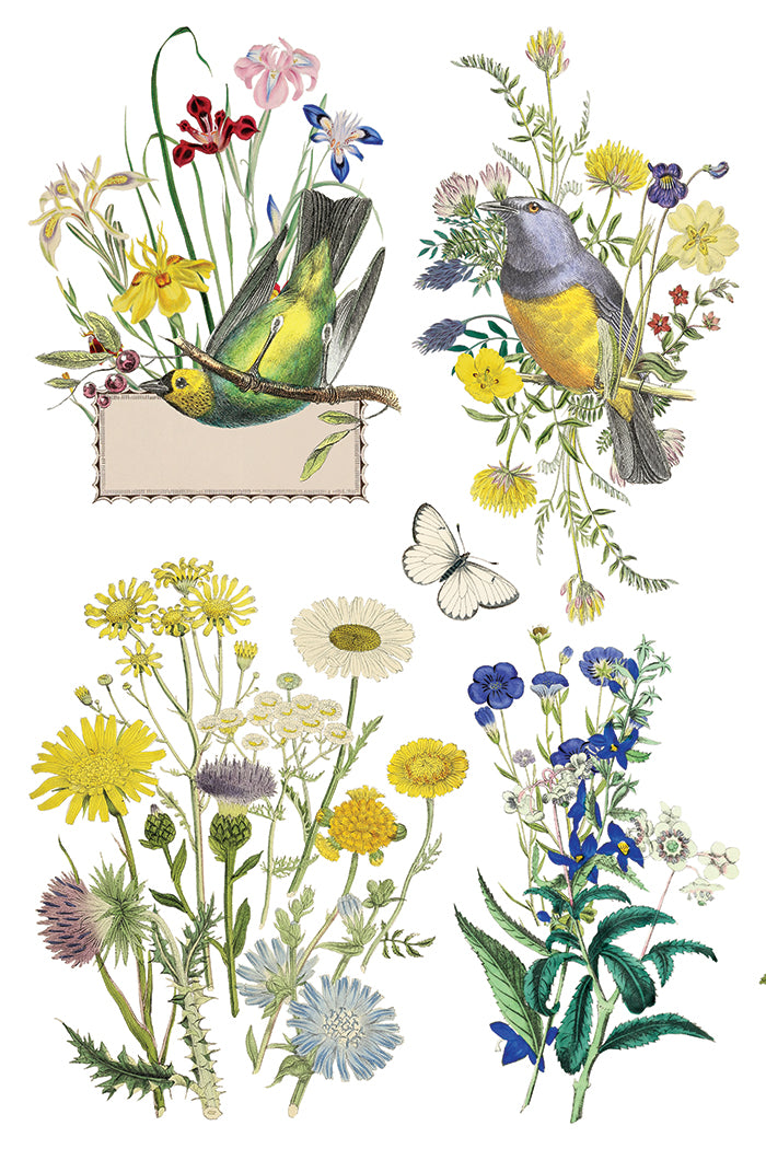 Flora Greca- IOD Decor Transfer