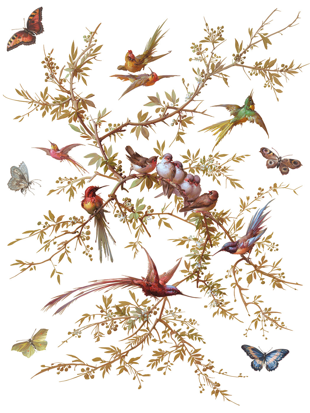 Madeleine - IOD Decor Transfer