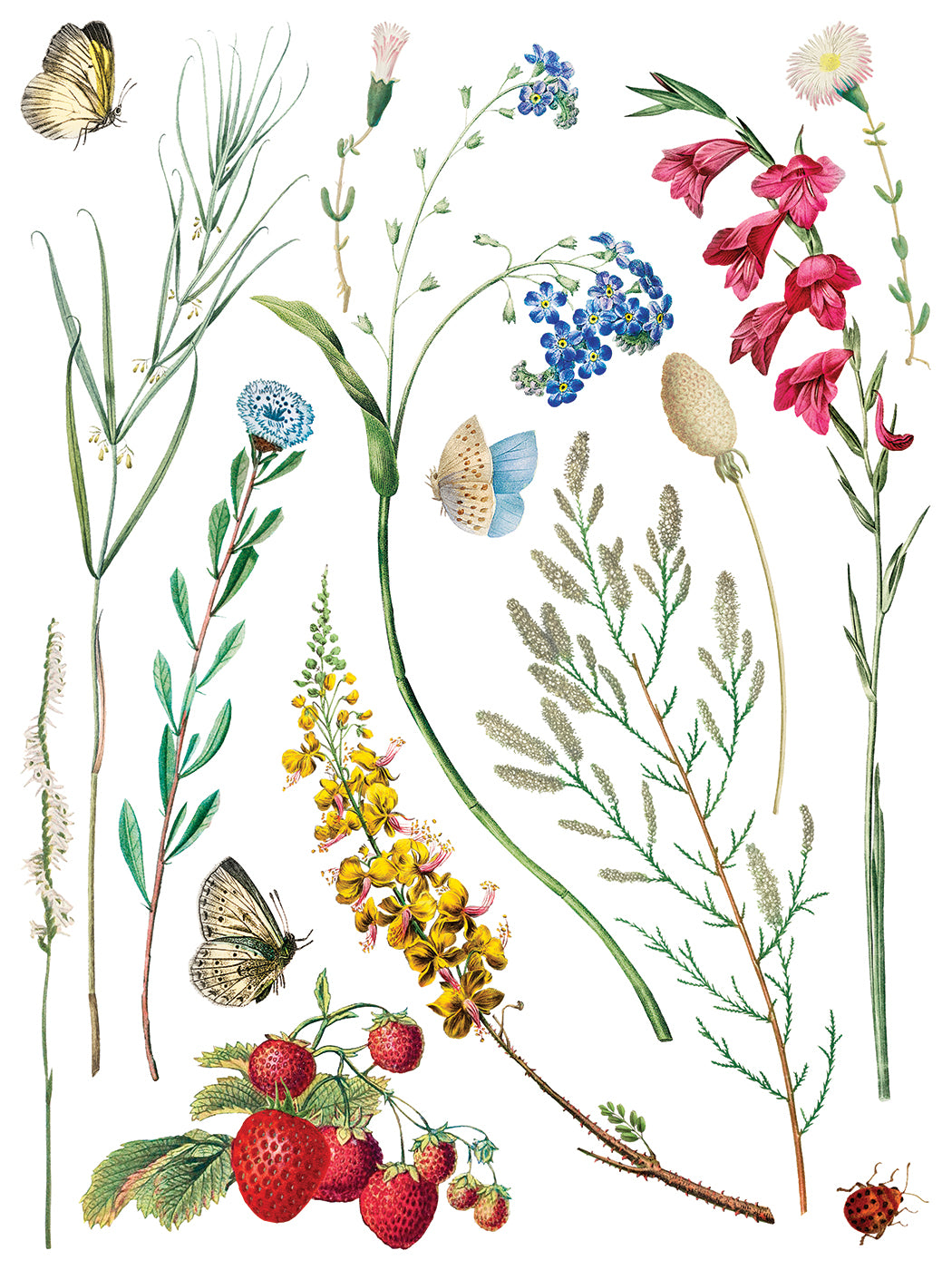 Marcha des Fleurs -  IOD Decor Transfer (Summer 2026 Release)