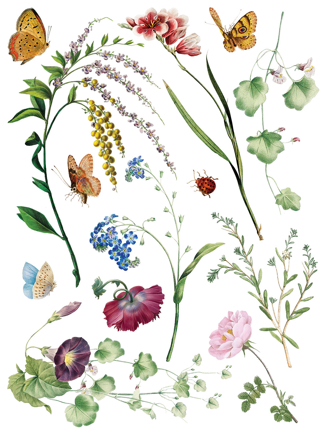 Marcha des Fleurs -  IOD Decor Transfer (Summer 2026 Release)