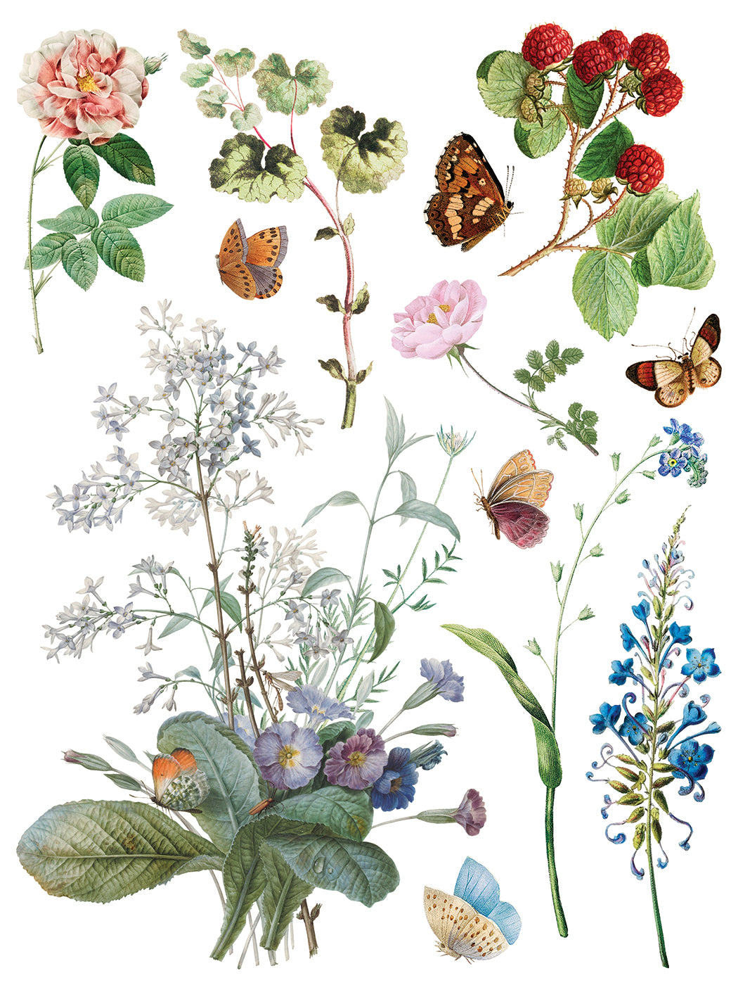 Marcha des Fleurs -  IOD Decor Transfer (Summer 2026 Release)