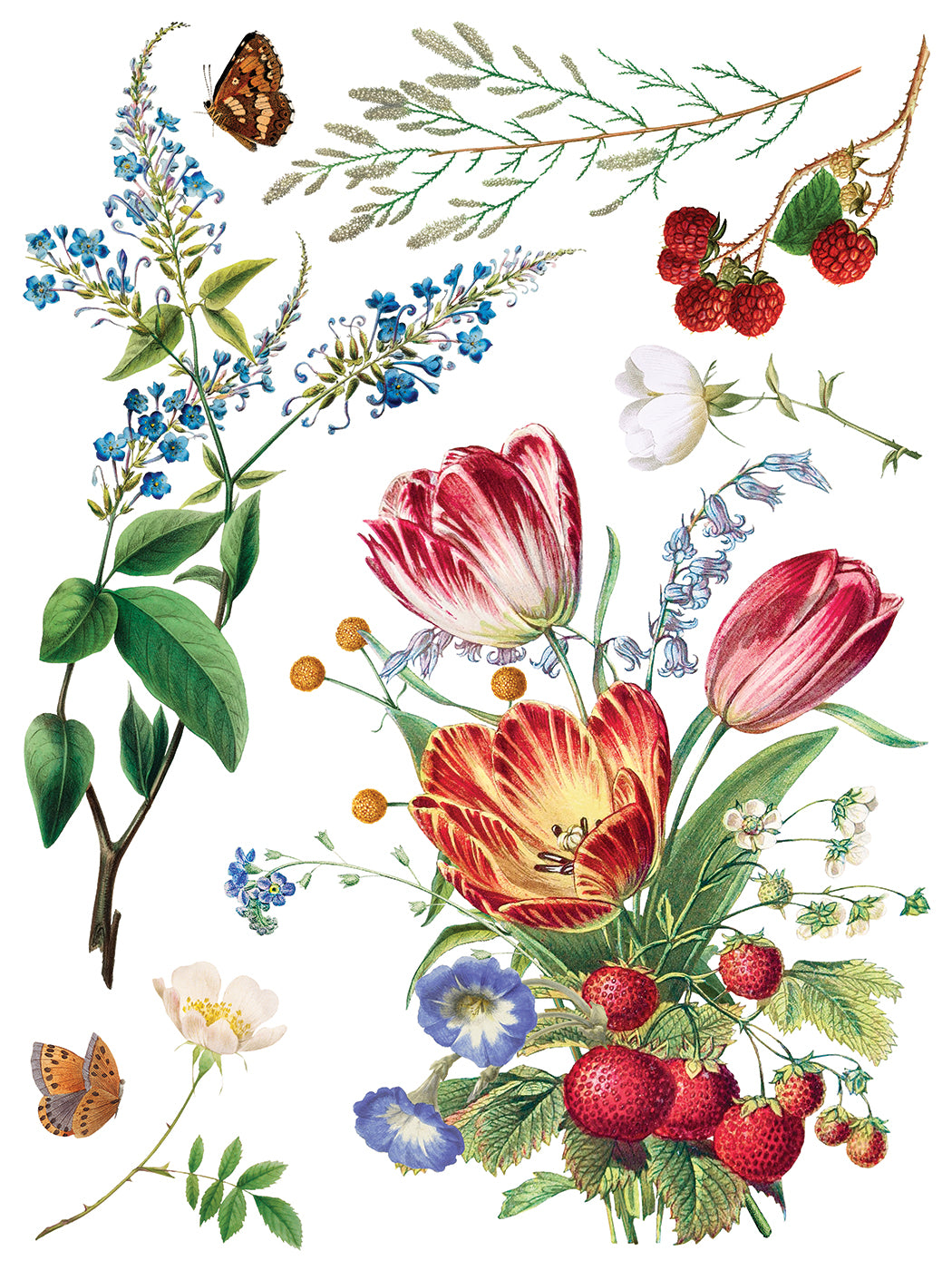 Marcha des Fleurs -  IOD Decor Transfer (Summer 2026 Release)