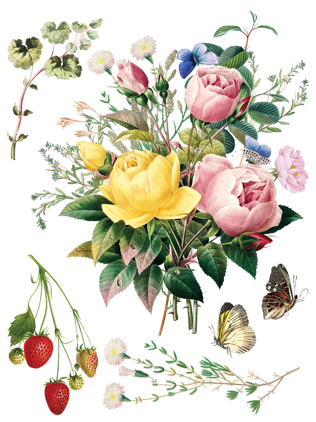 Marcha des Fleurs -  IOD Decor Transfer (Summer 2026 Release)
