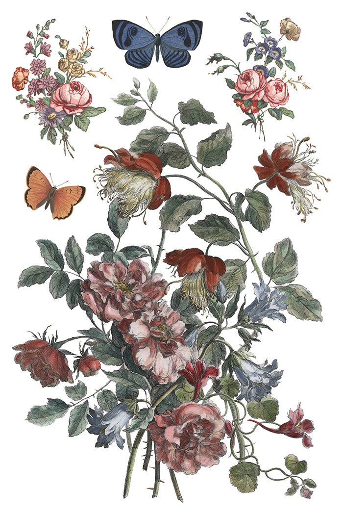 Saint Ouen- IOD Decor Transfer