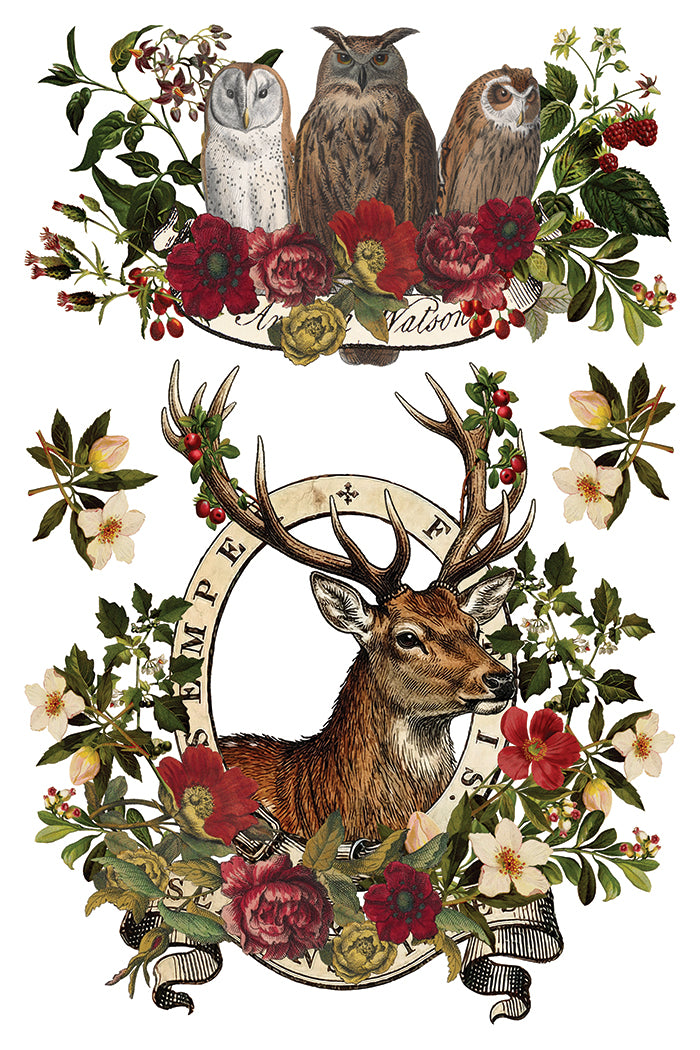 Stag Tavern IOD Transfer - IOD Qtr 3 2026 (Limited Edition Holiday)