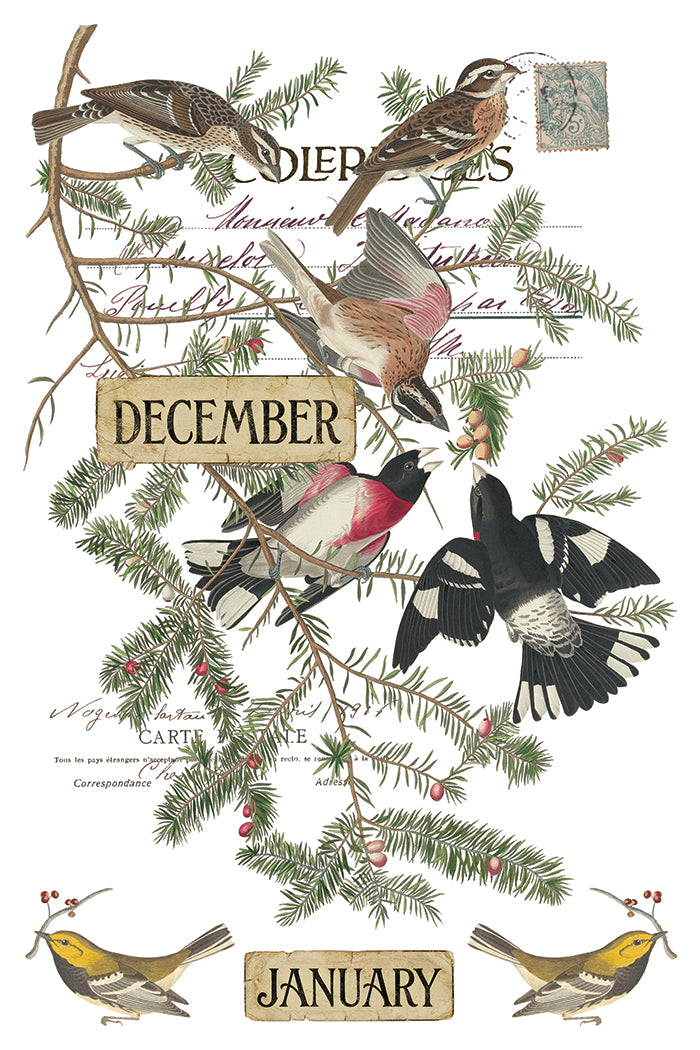 Winters Calling IOD Transfer - IOD Qtr 3 2026 (Limited Edition Holiday)