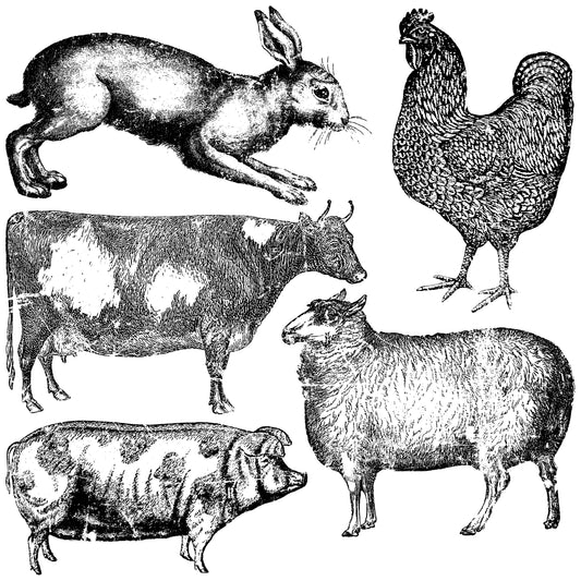 Farm Animals Decor Stamp 12 x 12