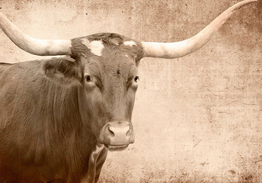 Texas Longhorn - Mint by Michelle Decoupage image 0