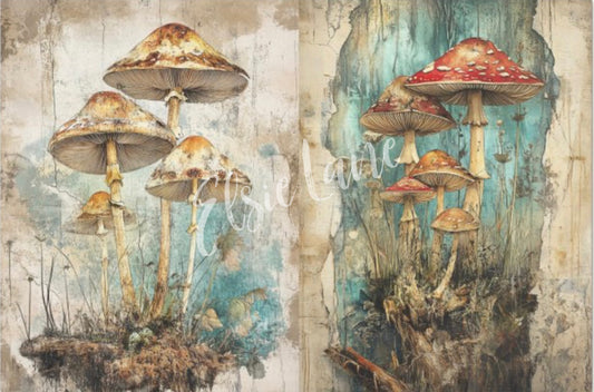 The Secret Life of Mushrooms - Elsie Lane Decoupage Paper image 0