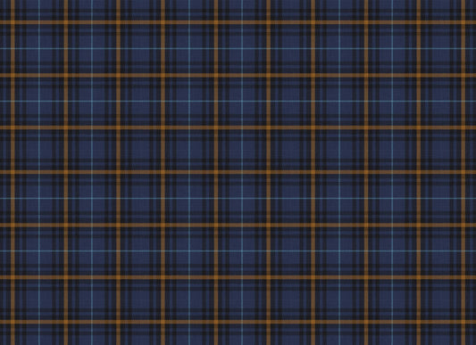 Blue Tartan - Roycycled Decoupage image 0