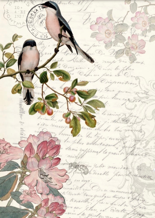 Spring Bird Ephemera - Roycycled Decoupage image 0