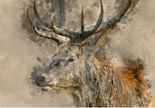 Yes Deer Decoupage (Mint By Michelle)  image 0